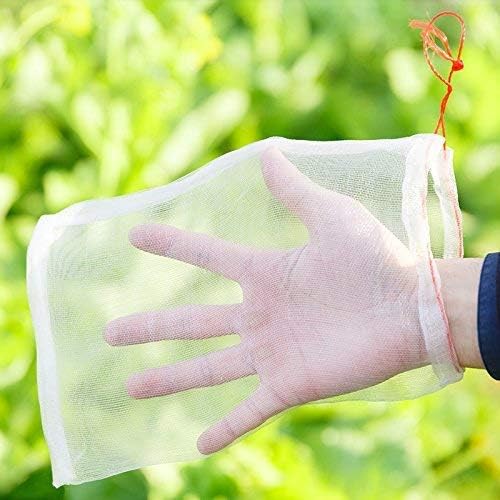 Insect barrier bag 6inchx4inch,10pcs
