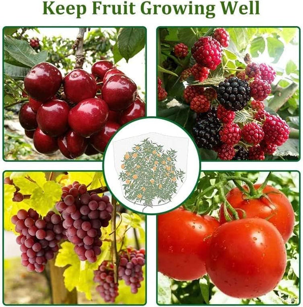 Insect barrier bag 6inchx4inch,10pcs