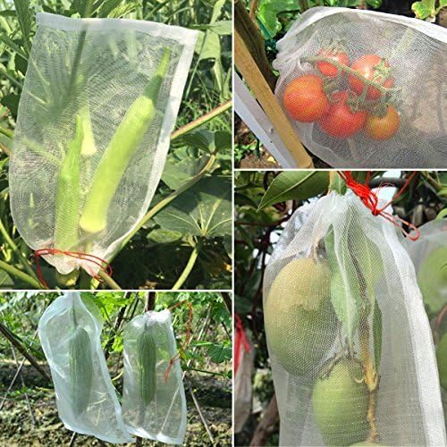 Insect barrier bag 6inchx4inch,10pcs