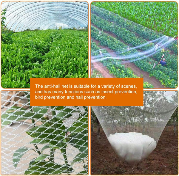 Hail Netting, Protect Orchard, Bird Protection 16 ftx20ft White 50g
