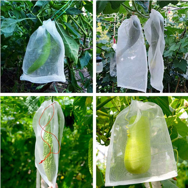 Insect barrier bag 6inchx4inch,10pcs