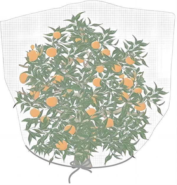 Insect Barrier Garden Plant Cover bag with Rope, White