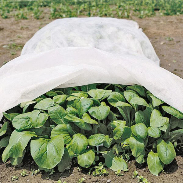 0.55/0.9 oz. Row Cover & Plant Blanket