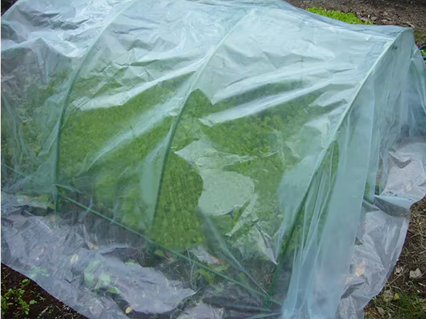 7 ft. Long with Dia 0.43 in. Steel Greenhouse Hoops, Rust-Free Grow Tunnel, Support Hoops for Garden(6-Pack)