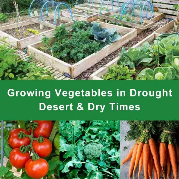 1.2oz Row Cover 14ft Width, white