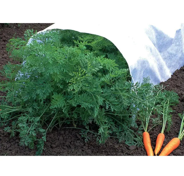 0.9oz Row Cover 50ft Width, white