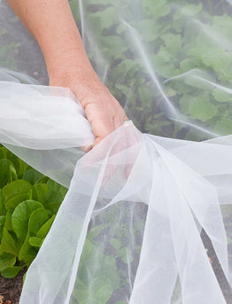Why Every Gardener Needs Insect Netting: How to Protect Your Plants Naturally