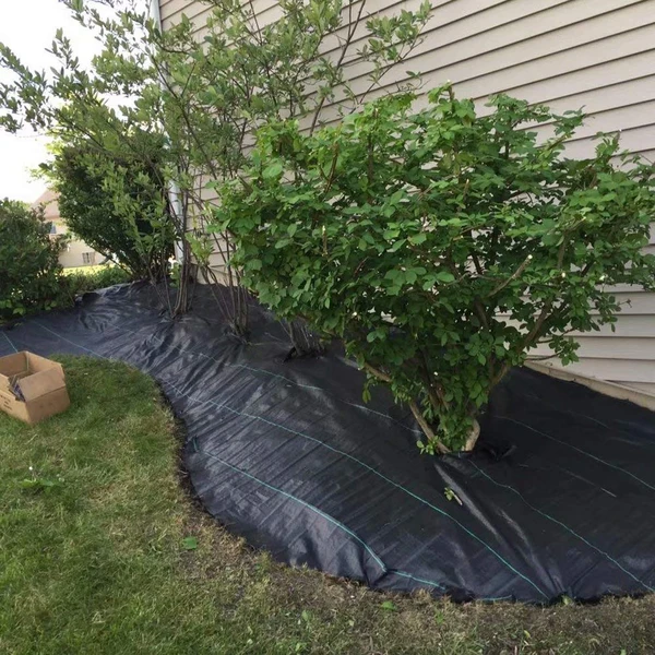 Do you know how to prevent weeds