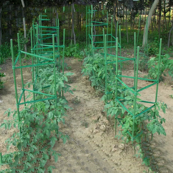 Can You Use a Tomato Cage For Cucumbers？