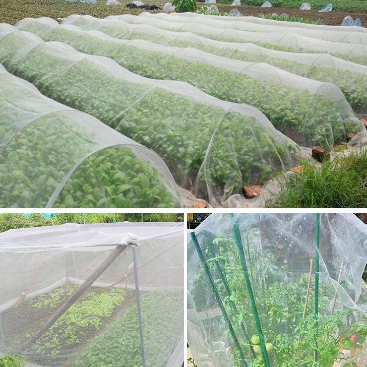 Top Tips for Mastering Insect Netting | Gardenport