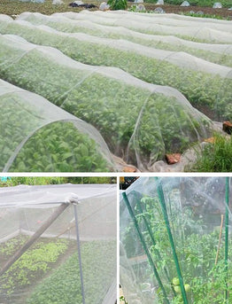 Top Tips for Mastering Insect Netting