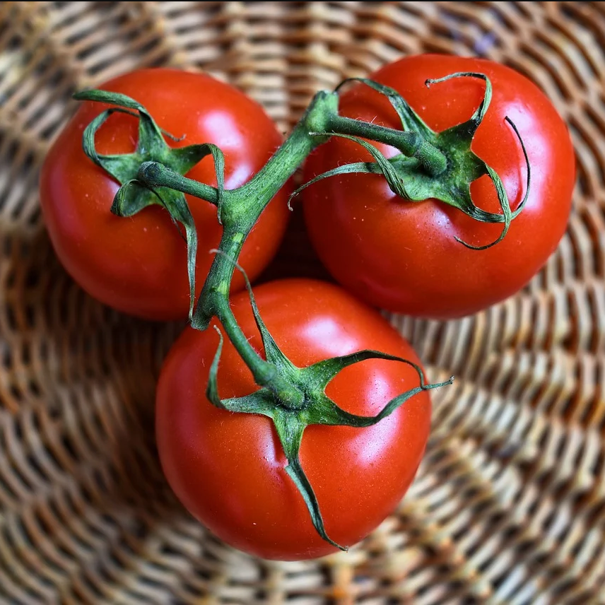 How to grow tomatoes better