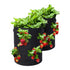 Strawberry Grow Bag，10gal，2pack, black