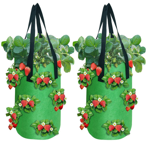 Hanging Strawberry Bag,3gal,2 Pack,green