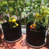 25 -100 Gal Grow Bag Non Woven Breathable Fabric Planter Pot With Handle