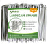 1.57 in. x 2 in. Galvanized Landscape Staples Stake Silver(10-Pack)