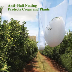 Hail Netting 50 ft. L with Grommets, Bird Netting Protect Fruits and Plants from Hail Damage, White