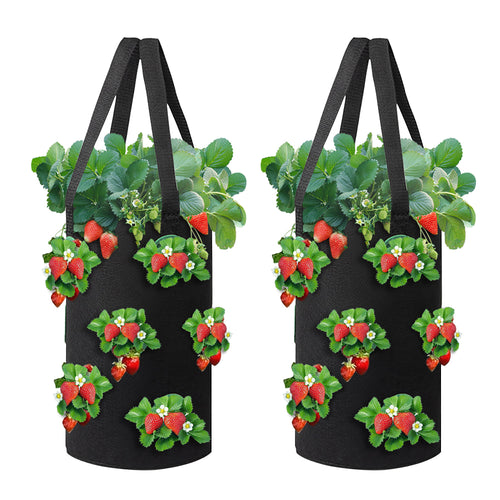 Hanging Strawberry Bag,3gal,2 Pack,black