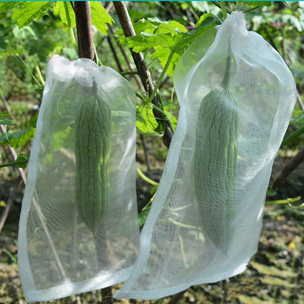 Insect barrier bag 6inchx4inch,10pcs