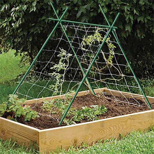 Garden Stakes Plant Stakes/Tomato Stakes/Green (50-Pack)