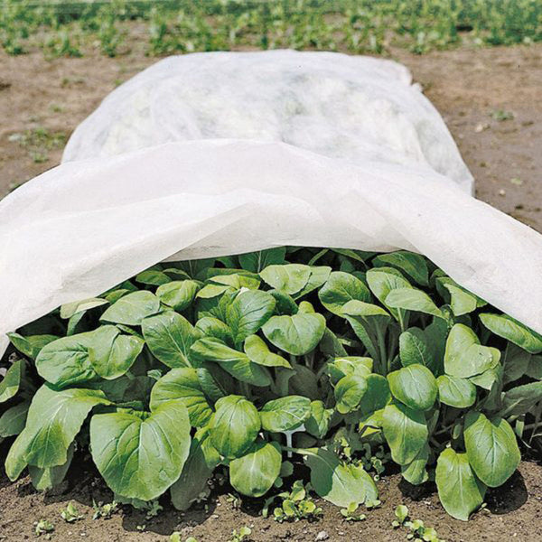 1.5oz Row Cover 14ftx50ft Width, White