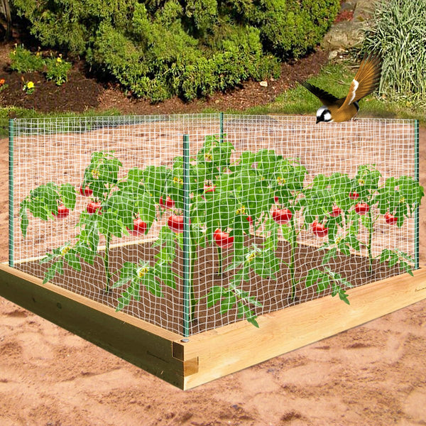Agfabric Insect & Bird Barrier Net Made of High-Quality PP Material issued by Wellco Industries Inc. in California