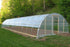 Clear Greenhouse Film 20ft Width 3/6mil