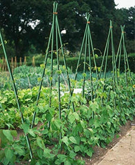 3/8in Dia, 4ft Plant Stakes Dark Green 8pcs