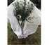 Insect Barrier Garden Plant Cover bag with Rope, White
