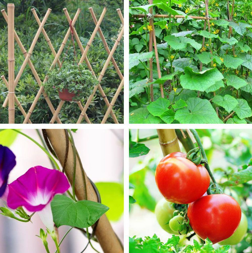 3 ft. x 3/8 in. Natural Bamboo Garden Plant Stakes for Climbing Support