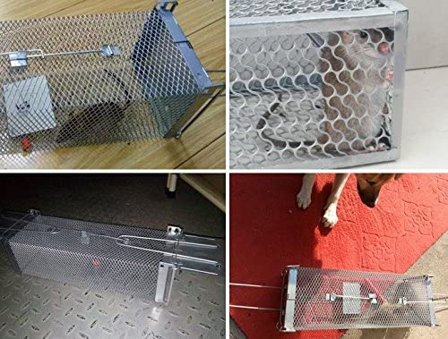 Mouse trap cage¡ê?double door