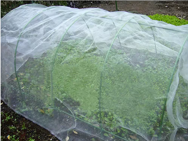 6 ft. Long with Dia 0.43 in. Steel Greenhouse Hoops, Rust-Free Grow Tunnel, Support Hoops for Garden(6-Pack)
