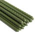 Agfabric garden stakes for climbing plants