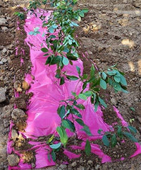 1.2 Mil Pink Mulch Garden Plastic Film 4ft width