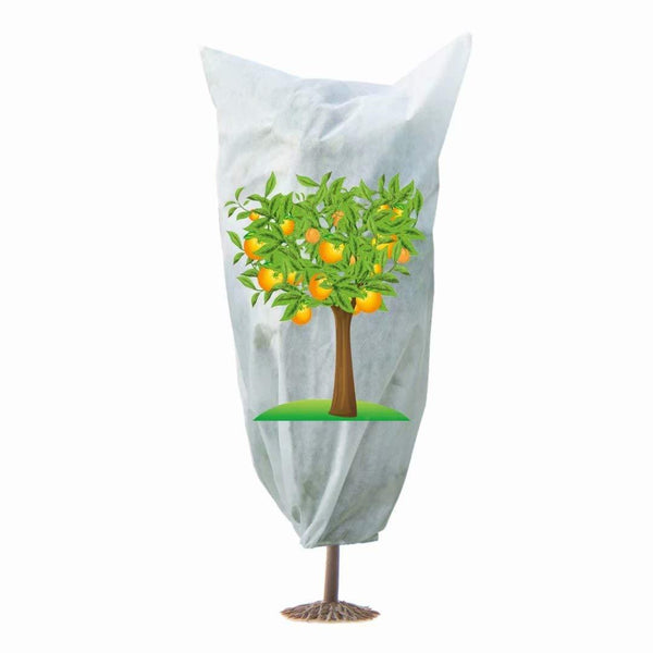 Printed plant cover Citrus tree 32x32in