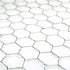 Hexagonal Wire Mesh with Post